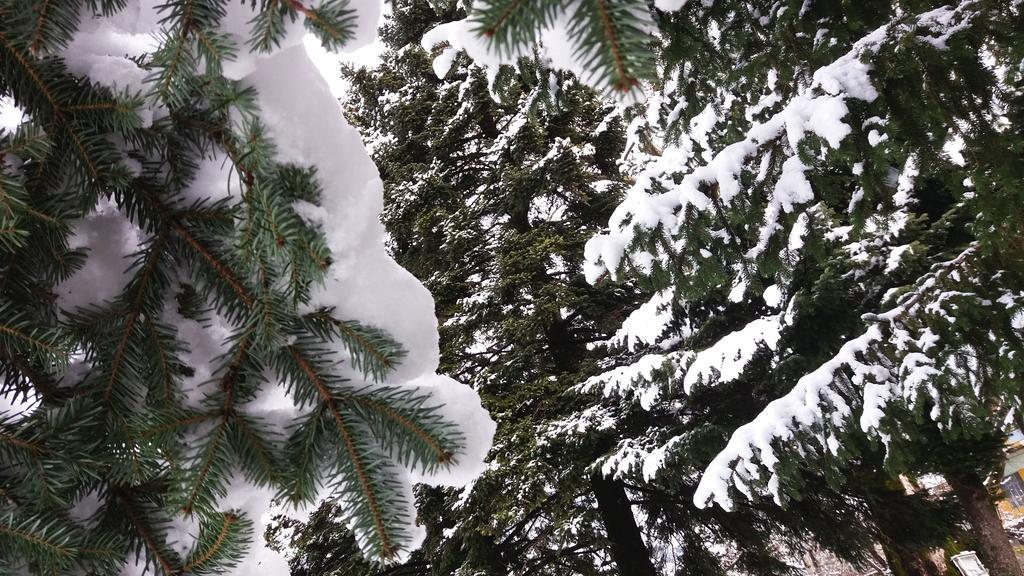 Etheres Tzoumerkon Mountain Resort Katarráktis Exteriör bild